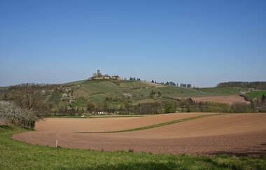 Jennifer Reisner | Naturparkführerin Stromberg-Heuchelberg