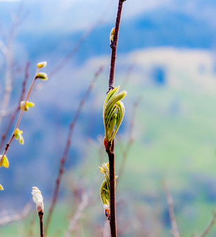 Jennifer Reisner | Naturparkführerin Stromberg-Heuchelberg | © Jennifer Reisner Fotografie