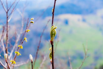 Jennifer Reisner | Naturparkführerin Stromberg-Heuchelberg | © Jennifer Reisner Fotografie