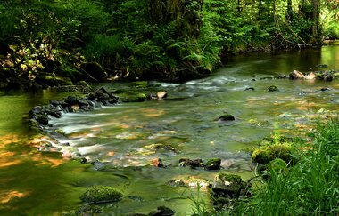 Jennifer Reisner | Naturparkführerin Stromberg-Heuchelberg | © Jennifer Reisner Fotografie