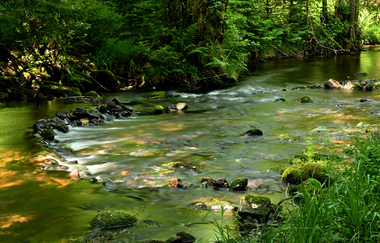 Jennifer Reisner | Naturparkführerin Stromberg-Heuchelberg | © Jennifer Reisner Fotografie