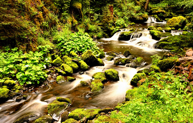 Jennifer Reisner | Naturparkführerin Stromberg-Heuchelberg | © Jennifer Reisner Fotografie