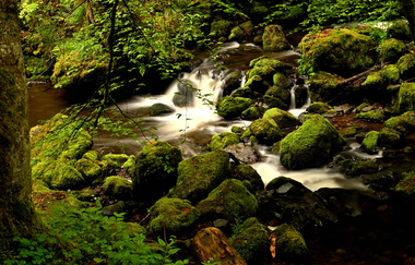 Jennifer Reisner | Naturparkführerin Stromberg-Heuchelberg | © Jennifer Reisner Fotografie