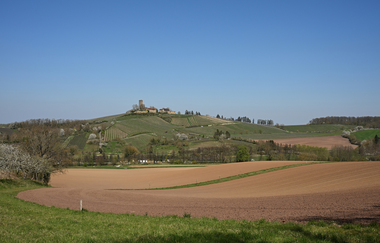 Jennifer Reisner | Naturparkführerin Stromberg-Heuchelberg