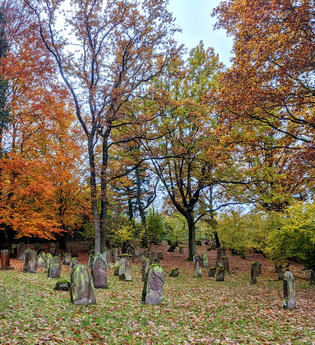 Jüdischer Friedhof Obersulm-Affaltrach  HeilbronnerLand | © Naturparkführin Petra Kuch