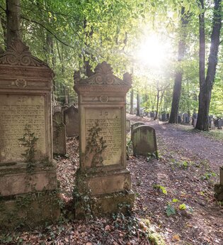 Grabsteine des jüdischen Friedhofes inmitten von Bäumen