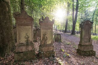Grabsteine des jüdischen Friedhofes inmitten von Bäumen