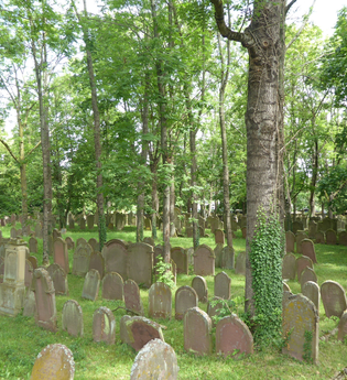 Jüdischer Friedhof Wiesloch | © Beate Otto