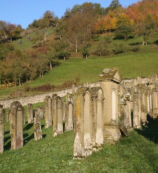 Reihen von Grabsteinen an einem Hang auf dem jüdischen Friedhof Hohebach bei Dörzbach | © Touristikgemeinschaft Hohenlohe, Künzelsau e. V. | Marion Schlund