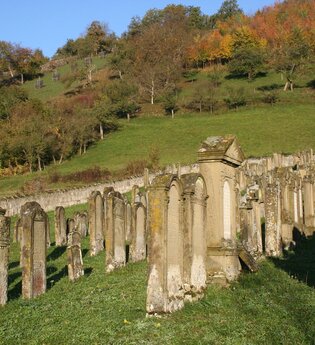 Reihen von Grabsteinen an einem Hang auf dem jüdischen Friedhof Hohebach bei Dörzbach | © Touristikgemeinschaft Hohenlohe, Künzelsau e. V. | Marion Schlund