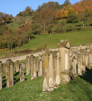 Reihen von Grabsteinen an einem Hang auf dem jüdischen Friedhof Hohebach bei Dörzbach | © Touristikgemeinschaft Hohenlohe, Künzelsau e. V. | Marion Schlund