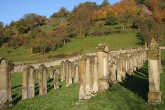 Reihen von Grabsteinen an einem Hang auf dem jüdischen Friedhof Hohebach bei Dörzbach | © Touristikgemeinschaft Hohenlohe, Künzelsau e. V. | Marion Schlund
