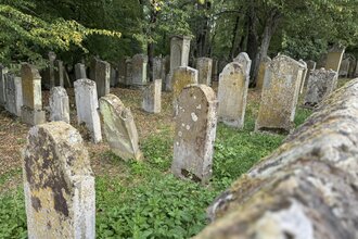 Blick in den Jüdischen Friedhof auf Grabsteine | © Neckarsteig-Büro