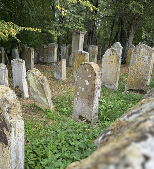 Blick in den Jüdischen Friedhof auf Grabsteine | © Neckarsteig-Büro