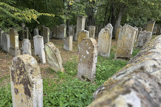Blick in den Jüdischen Friedhof auf Grabsteine | © Neckarsteig-Büro