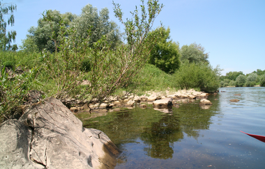 Kajakverleih in Edingen-Neckarhausen | © Paddel- und Rudersport Diecknann