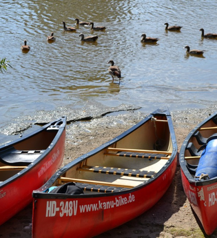 Kanutouren auf dem romantischen Neckar | © 100% Kanu + Bike