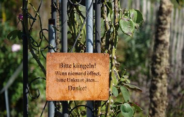 Medizinische Weinprobe | Sana.munda Heilkräutergarten | © Neckar-Zaber-Tourismus e.V.
