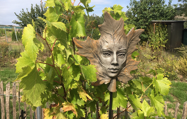 Medizinische Weinprobe | Sana.munda Heilkräutergarten | © Neckar-Zaber-Tourismus e.V.