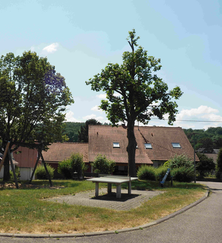 Kastanienweg | © Gemeinde Bretzfeld