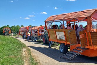 Orange Wagenflotte des Katzenbeisser-Carrus aus Lauffen mit vier Planwagen | © Martina Buck | Katzenbeisser-Carrus