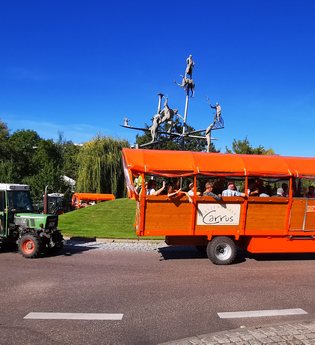 Katzenbeißer Carrus | Planwagen- und Weinbergrundfahrt | Lauffen am Neckar | © Katzenbeisser Carrus Planwagenfahrten GbR