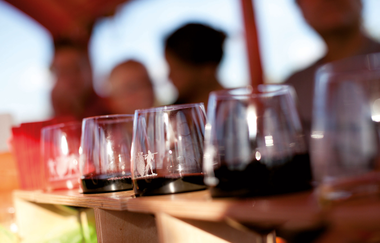 Katzenbeißer Carrus | Planwagen- und Weinbergrundfahrt | Lauffen am Neckar | © Katzenbeisser Carrus Planwagenfahrten GbR