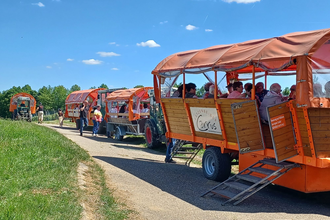 Orange Wagenflotte des Katzenbeisser-Carrus aus Lauffen mit vier Planwagen | © Martina Buck | Katzenbeisser-Carrus