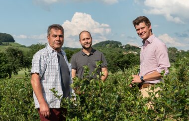 KDK-Aronia | Aroniabeere | Obersulm | Weinsbergertal | © Tourismus im Weinsbergertal e.V.