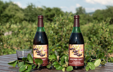 KDK-Aronia | Aroniabeere | Obersulm | Weinsbergertal | © Tourismus im Weinsbergertal e.V.