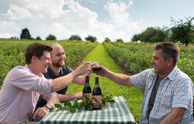 KDK-Aronia | Aroniabeere | Obersulm | Weinsbergertal | © Tourismus im Weinsbergertal e.V.