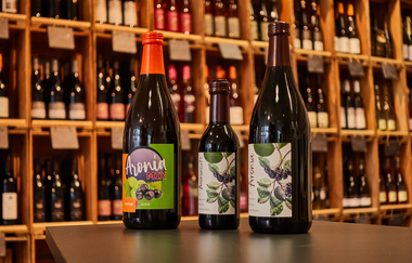 KDK-Aronia | Aroniabeere | Obersulm | Weinsbergertal | © Tourismus im Weinsbergertal e.V.