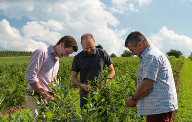 KDK-Aronia | Aroniabeere | Obersulm | Weinsbergertal | © Tourismus im Weinsbergertal e.V.