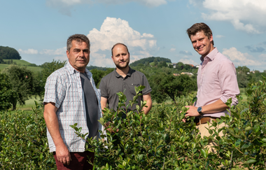 KDK-Aronia | Aroniabeere | Obersulm | Weinsbergertal | © Tourismus im Weinsbergertal e.V.