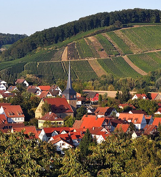 Sülzbach | Obersulm | HeilbronnerLand | © Tourismus im Weinsberger Tal