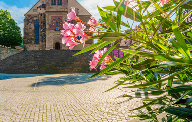 Kirche St. Michael in Schwäbisch Hall mit blühenden Oleander im Vordergrund. | © Michael Kuehneisen