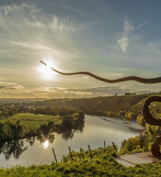 Kirchheimer Weinterasse | © meine STIMME