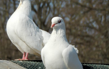 Kleintierpark Bad Schönborn-Mingolsheim | © Kleintierpark Bad Schönborn e.V.