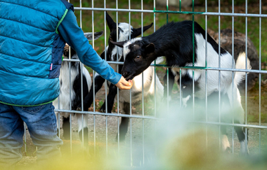 Kleintierpark Bad Schönborn-Mingolsheim