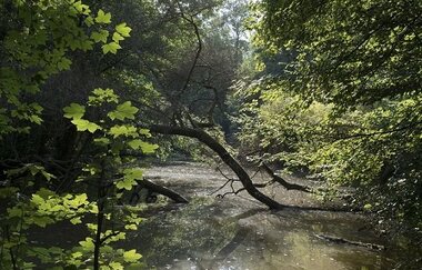 Kneippanlage bei Kraichtal-Oberöwisheim | © Land der 1000 Hügel - Kraichgau-Stromberg