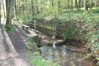 Kneippanlage bei Kraichtal-Oberöwisheim | © Stadtmarketing Kraichtal