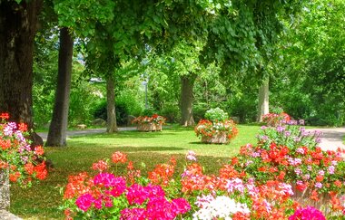 Kurpark mit Blumenbeeten und großen Bäumen | © Stadt Bad Wimpfen