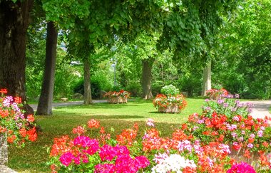 Kurpark mit Blumenbeeten und großen Bäumen | © Stadt Bad Wimpfen