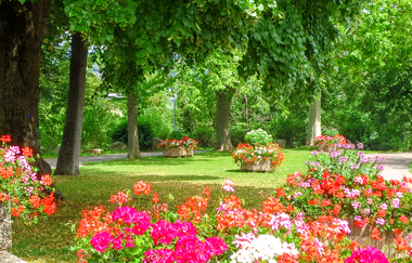 Kurpark mit Blumenbeeten und großen Bäumen | © Stadt Bad Wimpfen