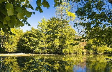 Ein ruhiger Fluss, umgeben von grünen Bäumen, spiegelt sich im Wasser wider. | © SMG Stuttgart Marketing GmbH - Sarah Schmid