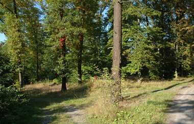 Köpfertal Heilbronn | HeilbronnerLand | © Touristikgemeinschaft HeilbronnerLand
