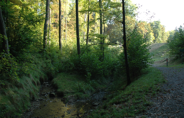 Köpfertal | Heilbronn | HeilbronnerLand | © Touristikgemeinschaft HeilbronnerLand