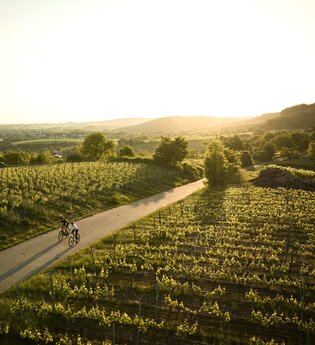 Kraichgau-Stromberg Tourismus e.V. | © Tourimia Tourismus GmbH | Stefan Leitner Photography