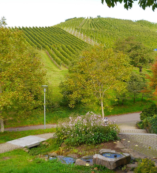 Kraichquelle | © Land der 1000 Hügel - Kraichgau-Stromberg