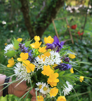 Kräuterführungen, Räucherseminare & Kräuterkostproben | Ingrid, Marie & Tina Hagner | HeilbronnerLand | © Kräuterfrauen Obereisesheim